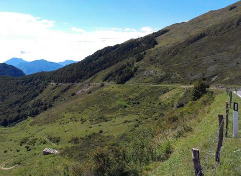 Prima dell'intervento in loc. Tolghe (foto di B. Grisenti)  Gestire le formazioni arbustive in loc. Corna Piana, Tolghe e Lastè di Tolghe